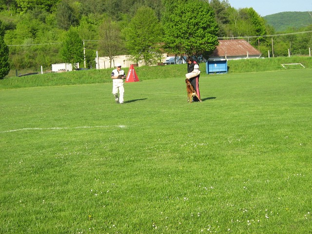 www.atibox.net * www.euroboxer.eu * www.boxergenealogia.eu